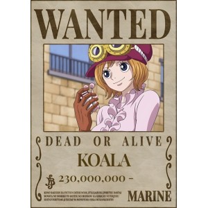 Placa Decorativa OnePiece Wanted Koala